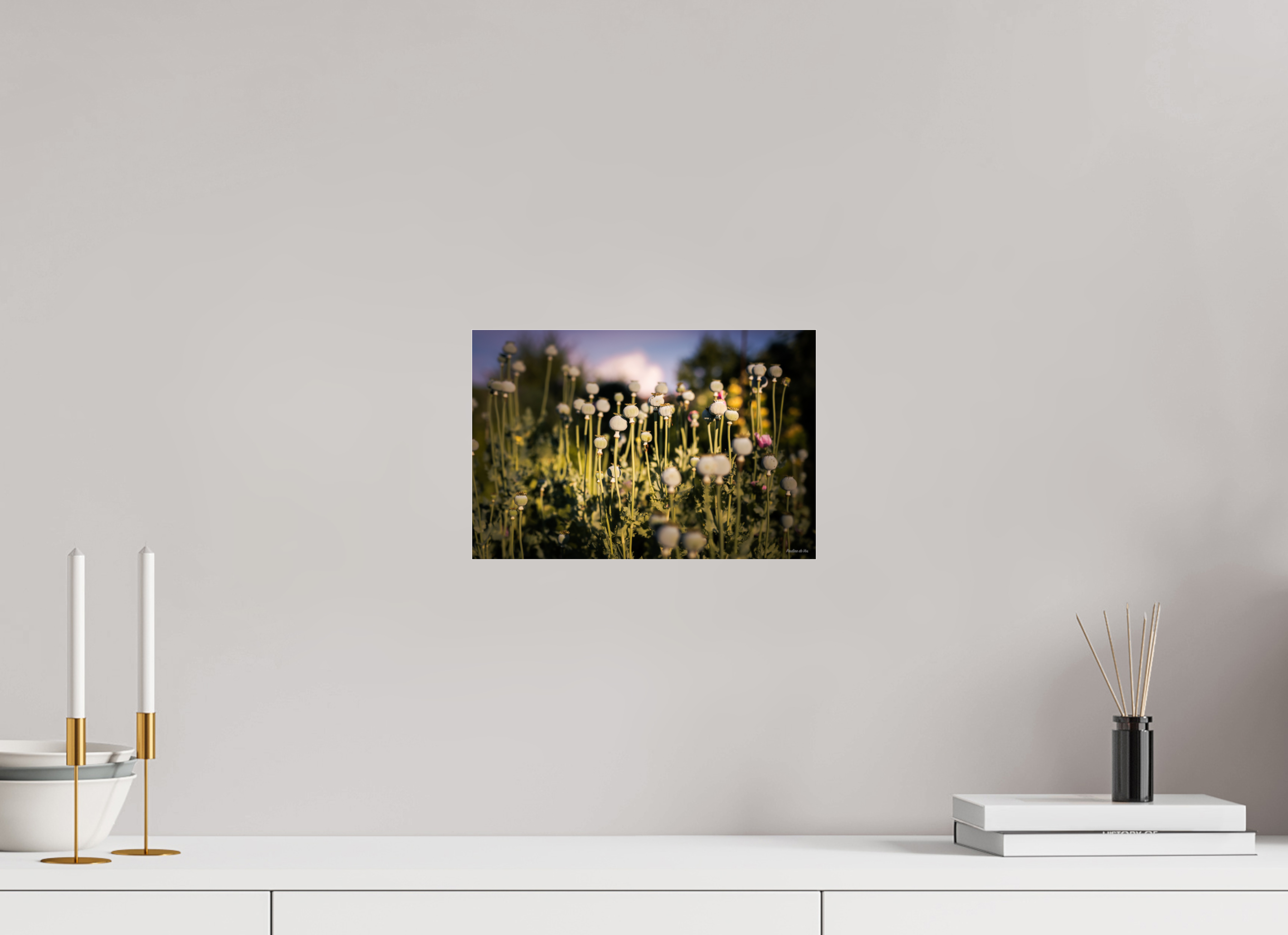 30 x 20 cm, Photo Print Under Acrylic Glass Fleurs dans le Jardin de Gulio à Ségur le Château