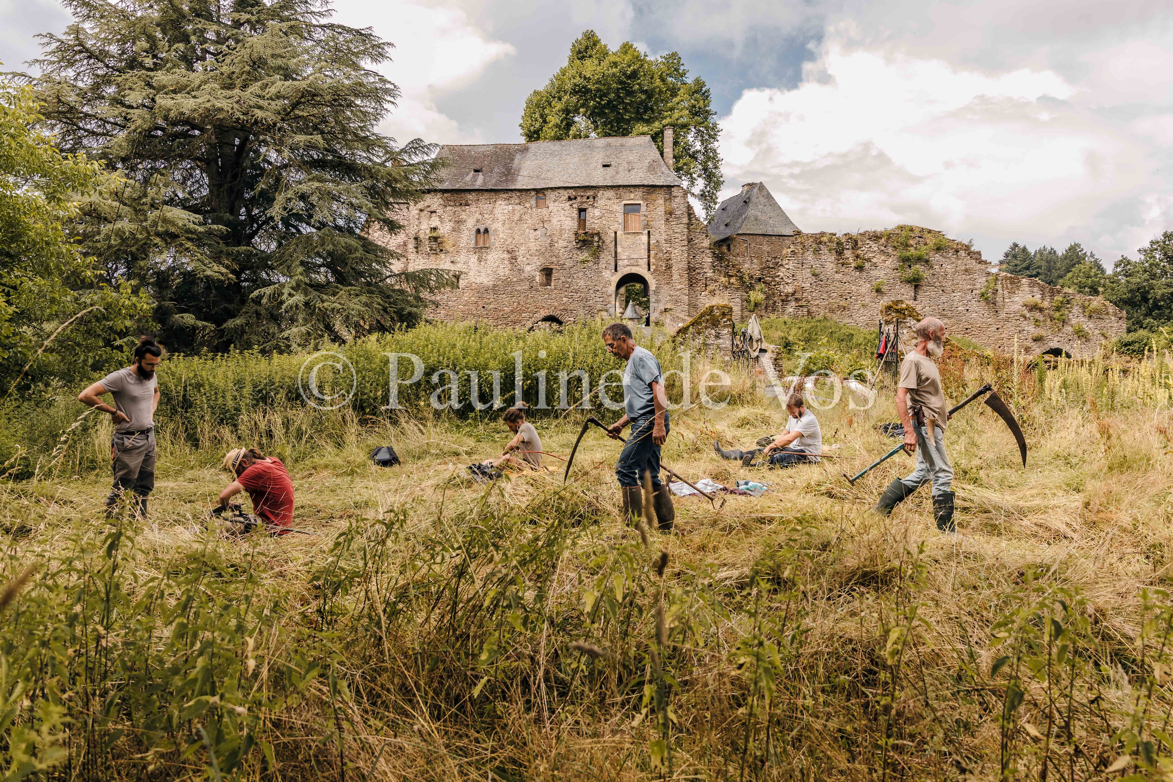 Fauchage à la faux à Ségur le Château