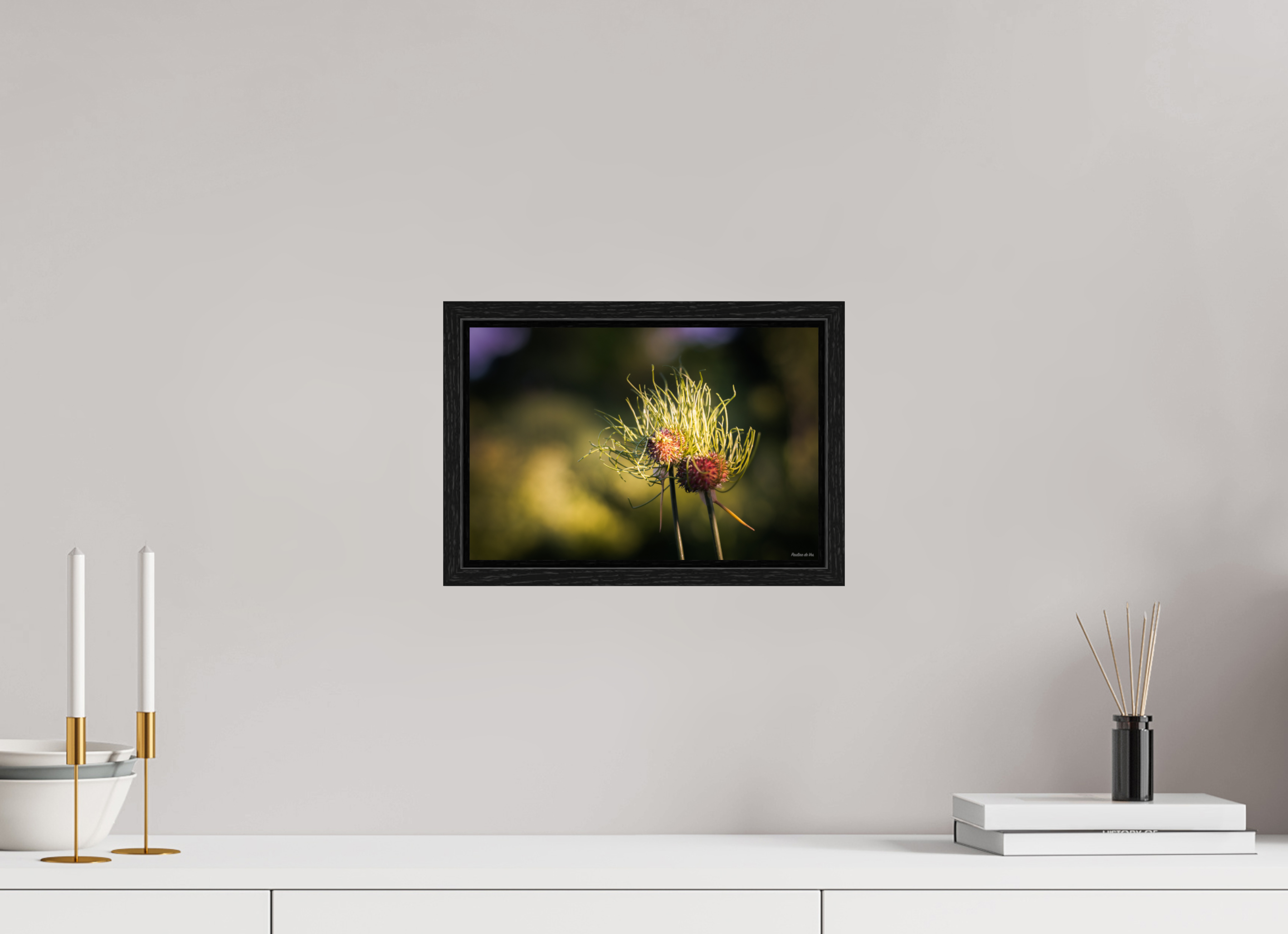 30 x 20 cm, Floater Frame Fleurs dans le Jardin de Gulio à Ségur le Château (kopie)