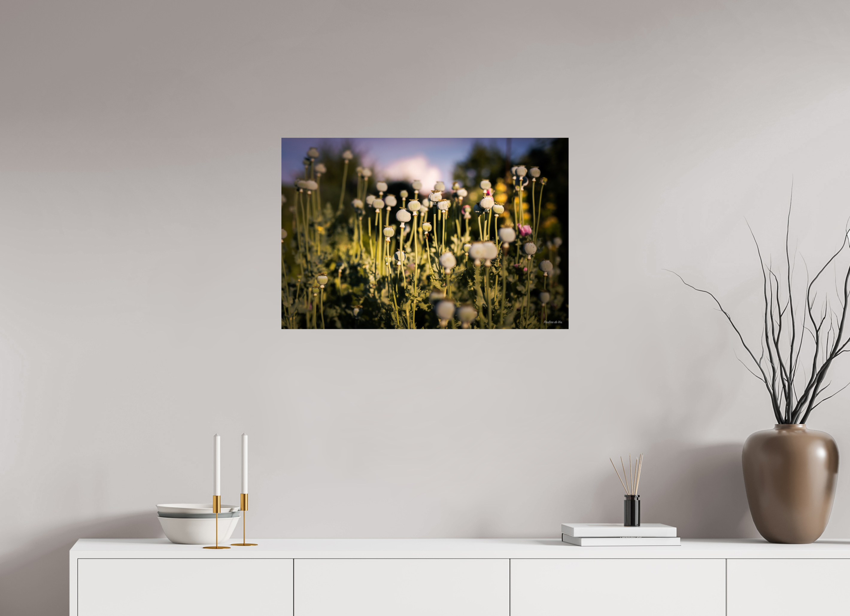 75 x 50 cm, Photo Print On Fuji Crystal DP II Fleurs dans le Jardin de Gulio à Ségur le Château