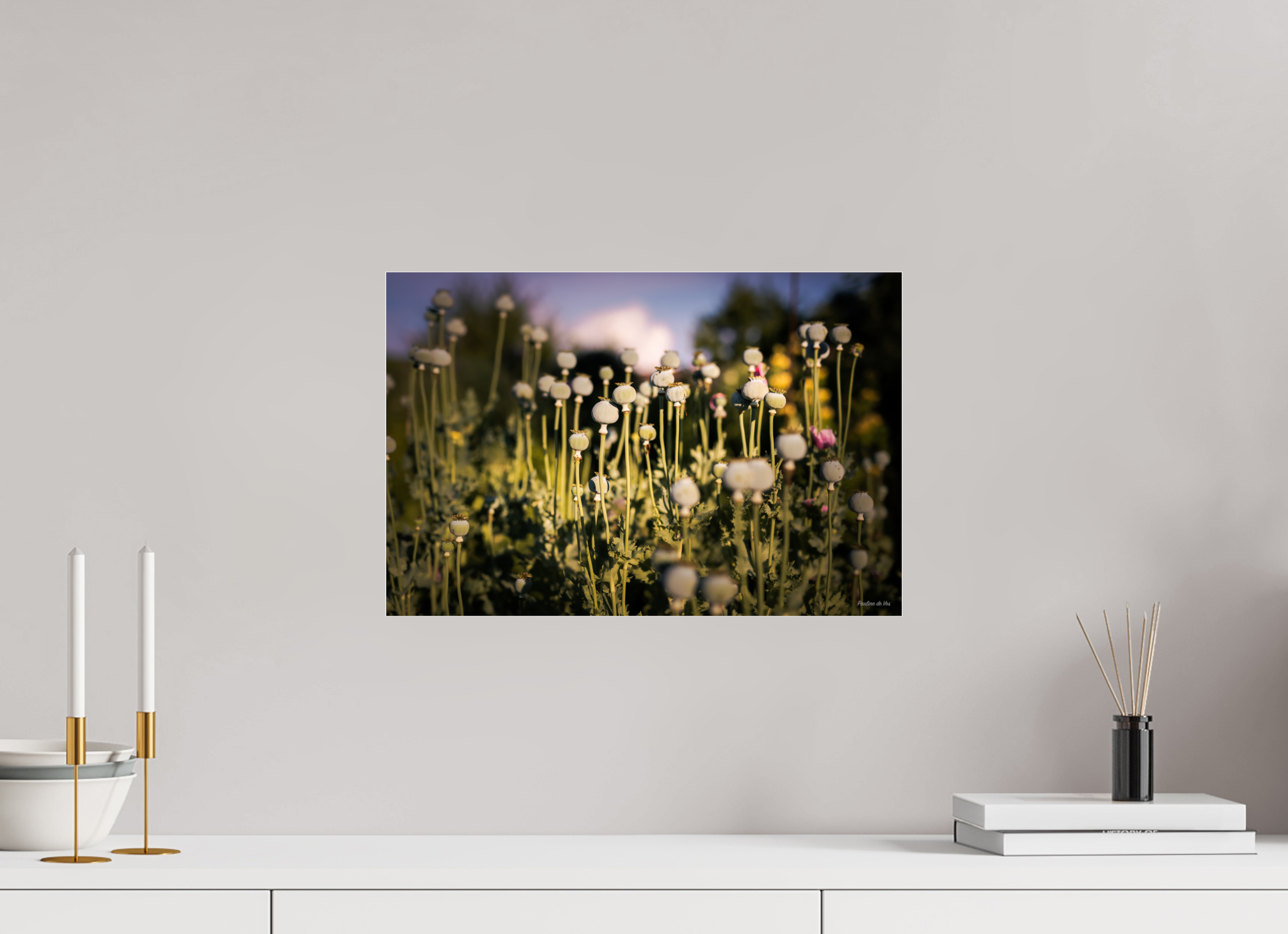 45 x 30 cm, Photo Print Under Acrylic Glass Fleurs dans le Jardin de Gulio à Ségur le Château