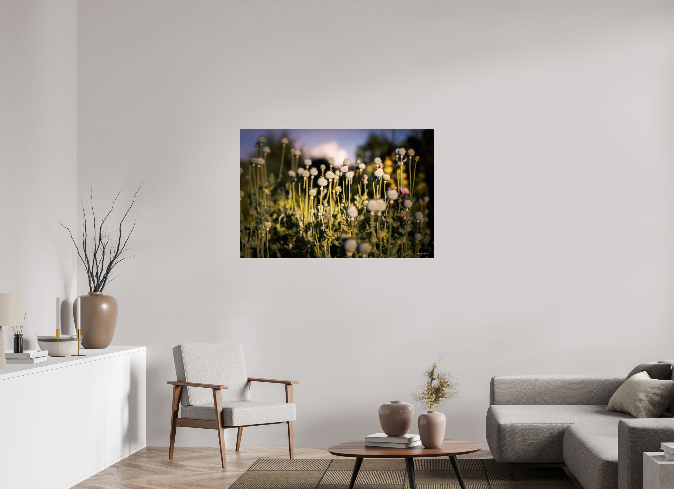 120 x 80 cm, Photo Print On Fuji Crystal DP II Fleurs dans le Jardin de Gulio à Ségur le Château